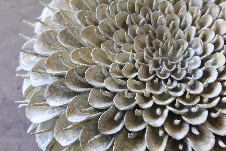 詠華 卯の花