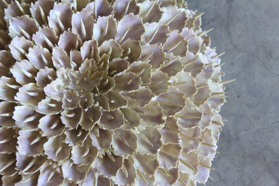 詠華 淡江