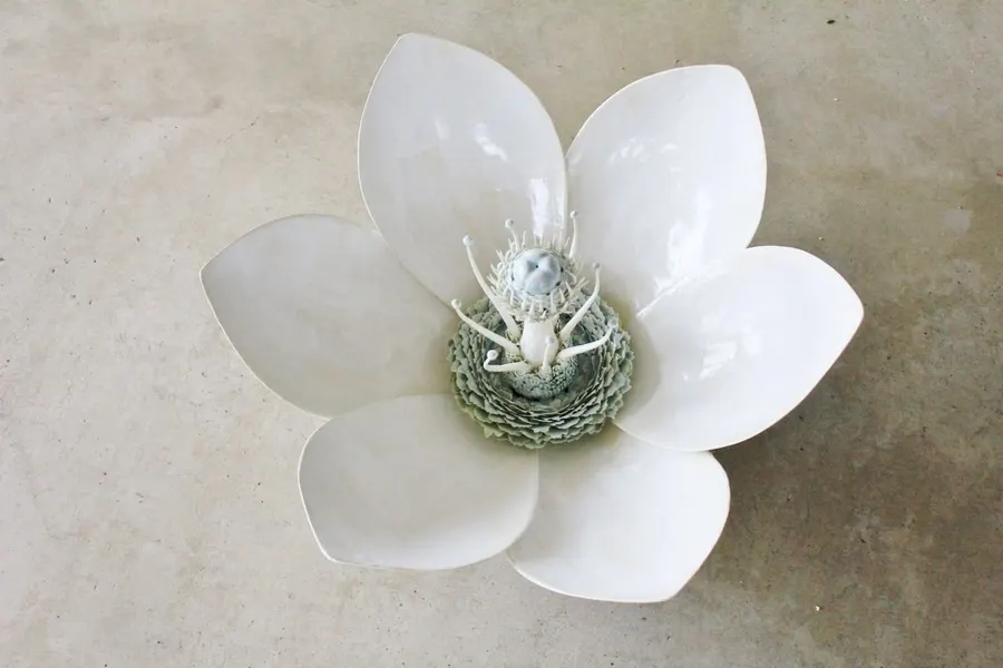 想華
